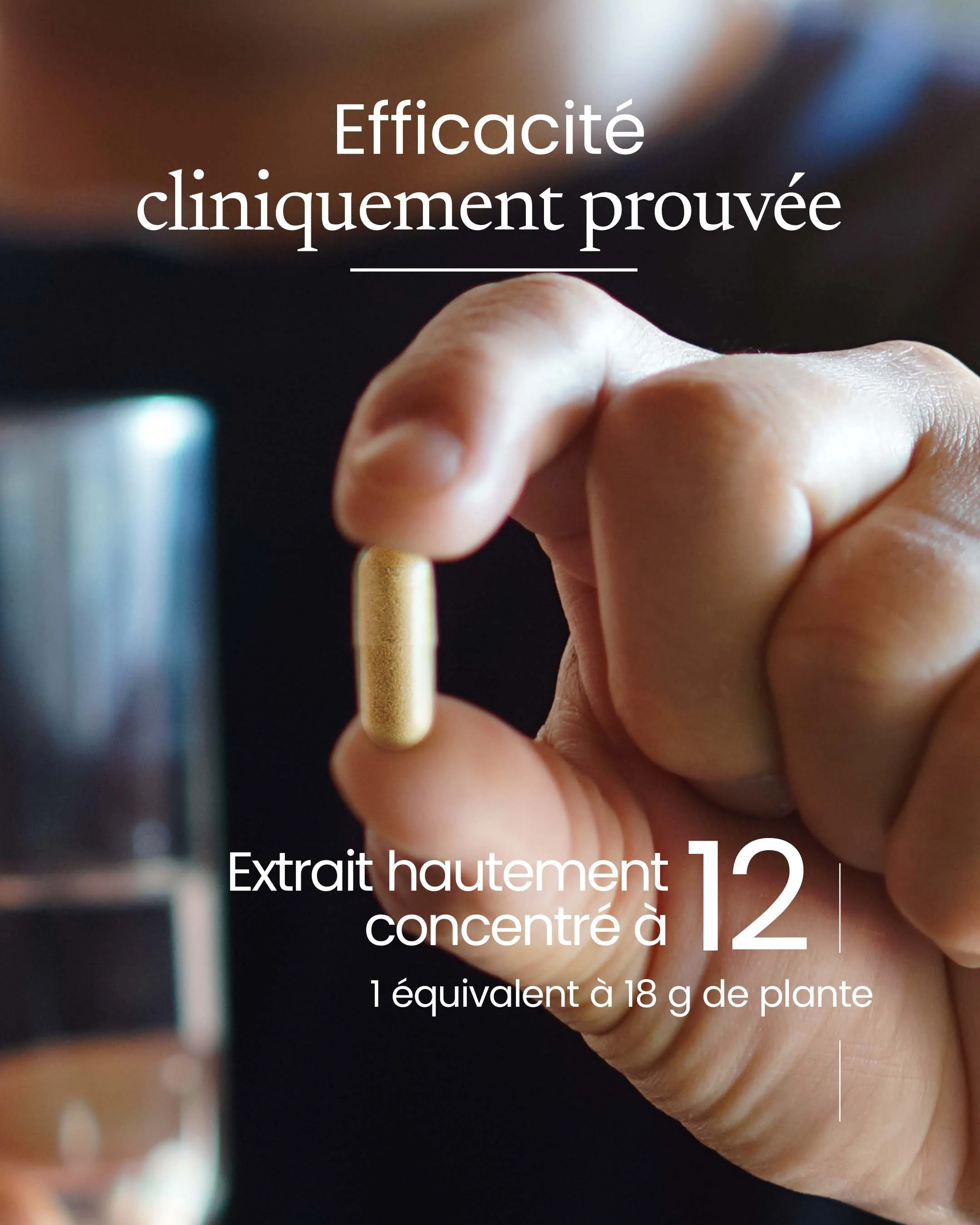 Miniature 5